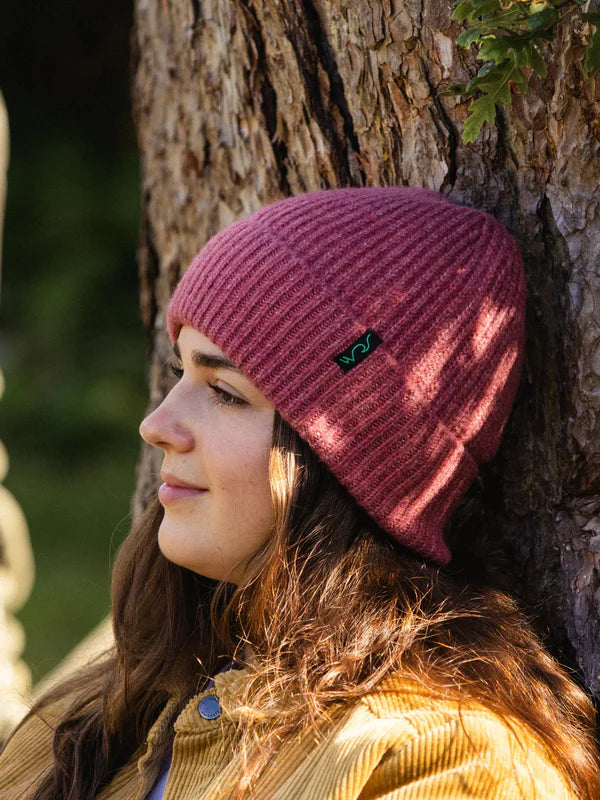 Flint Beanie | Bleubird